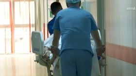 VIDEO A fost invazie de lilieci la un spital din Iași. 200 de exemplare erau în sala de așteptare
